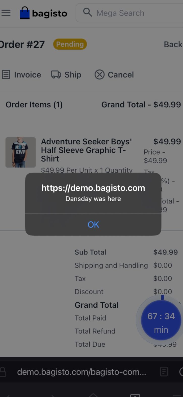 Critical XSS vulnerability discovered in Bagisto 2.2.0